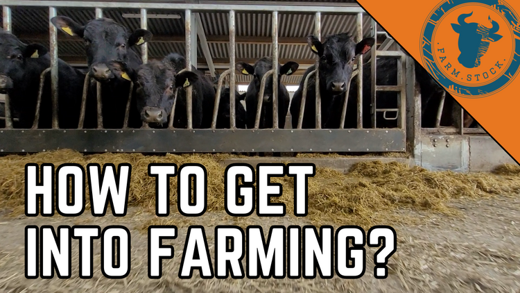 How to get into farming?