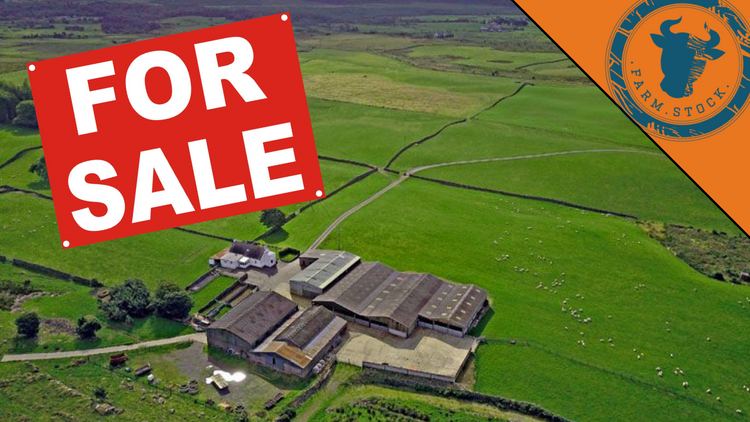 Why so many farms for sale?
