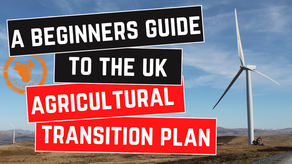 A Beginners Guide to the UK's Agricultural Transition Plan.